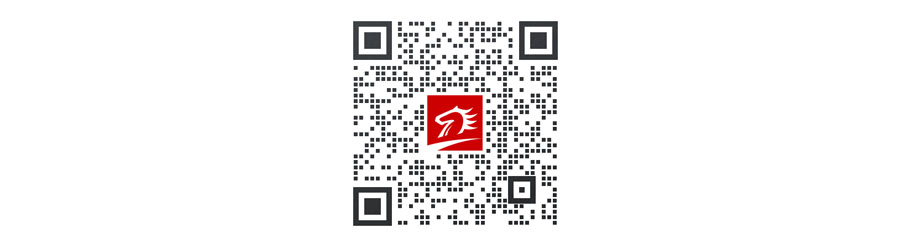 春风带岗，才汇普宁｜2024年普宁市招聘会全攻略-图3