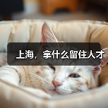 上海,拿什么留住人才-图6 上海,拿什么留住人才-图6