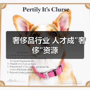 奢侈品行业 人才成”奢侈”资源-图5 奢侈品行业 人才成”奢侈”资源-图5
