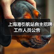 上海港引航站自主招聘工作人员公告-图5