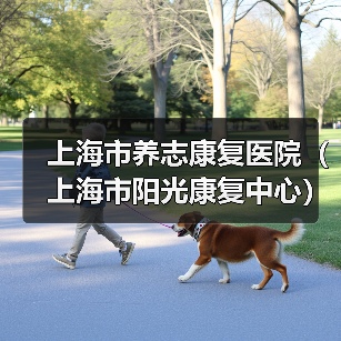 上海市养志康复医院（上海市阳光康复中心）工作人员公开招聘公告-图6