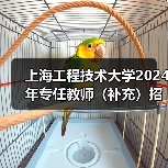 上海工程技术大学2024年专任教师（补充）招聘公告-图3