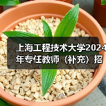 上海工程技术大学2024年专任教师（补充）招聘公告-图4