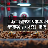 上海工程技术大学2024年辅导员(补充)招聘公告-图4 上海工程技术大学2024年辅导员(补充)招聘公告-图4
