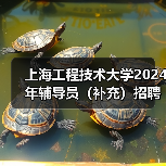 上海工程技术大学2024年辅导员(补充)招聘公告-图3 上海工程技术大学2024年辅导员(补充)招聘公告-图3