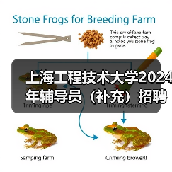 上海工程技术大学2024年辅导员(补充)招聘公告-图6 上海工程技术大学2024年辅导员(补充)招聘公告-图6