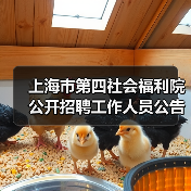 上海市第四社会福利院公开招聘工作人员公告-图3