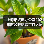 上海市核电办公室2024年度公开招聘工作人员公告-图6
