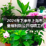 2024年下半年上海市儿童福利院公开招聘工作人员公告-图3 2024年下半年上海市儿童福利院公开招聘工作人员公告-图3