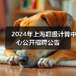2024年上海超级计算中心公开招聘公告-图5