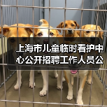 上海市儿童临时看护中心公开招聘工作人员公告-图3