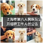 上海市第六人民医院公开招聘工作人员公告-图4 上海市第六人民医院公开招聘工作人员公告-图4