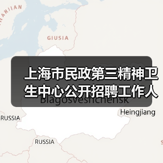 上海市民政第三精神卫生中心公开招聘工作人员公告-图4