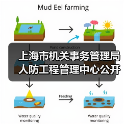 上海市机关事务管理局人防工程管理中心公开招聘公告-图4