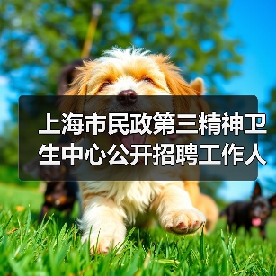 上海市民政第三精神卫生中心公开招聘工作人员公告-图3