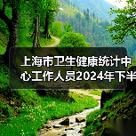 上海市卫生健康统计中心工作人员2024年下半年公开招聘公告-图6 上海市卫生健康统计中心工作人员2024年下半年公开招聘公告-图6