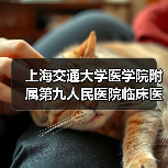 上海交通大学医学院附属第九人民医院临床医技科室科主任招聘公告-图3