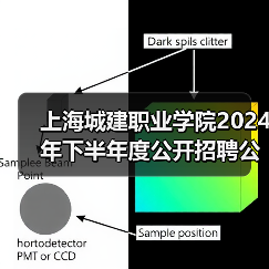 上海城建职业学院2024年下半年度公开招聘公告-图6