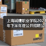 上海城建职业学院2024年下半年度公开招聘公告-图4