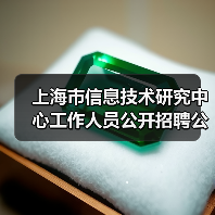 上海市信息技术研究中心工作人员公开招聘公告-图5 上海市信息技术研究中心工作人员公开招聘公告-图5
