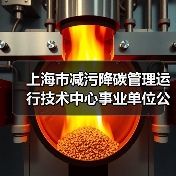 上海市减污降碳管理运行技术中心事业单位公开招聘公告（2024年度第二批）-图3