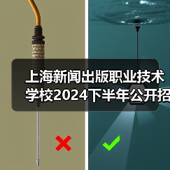 上海新闻出版职业技术学校2024下半年公开招聘工作人员公告-图6