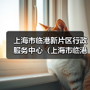 上海市临港新片区行政服务中心（上海市临港新片区大数据中心）2024年公开招聘工作人员公告-图3