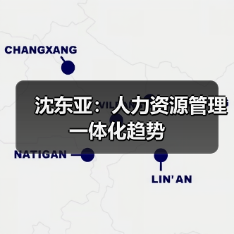 沈东亚：人力资源管理一体化趋势-图5