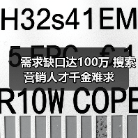 需求缺口达100万 搜索营销人才千金难求-图5