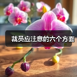 裁员应注意的六个方面-图4 裁员应注意的六个方面-图4