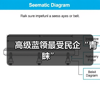 高级蓝领最受民企“青睐”-图6