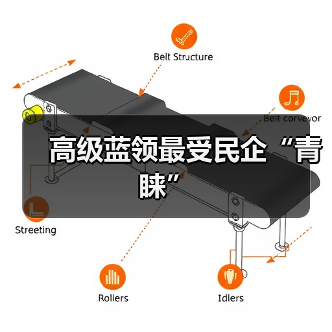 高级蓝领最受民企“青睐”-图5