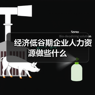 经济低谷期企业人力资源做些什么-图4 经济低谷期企业人力资源做些什么-图4
