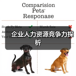企业人力资源竞争力探析-图3