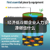 经济低谷期企业人力资源做些什么-图5 经济低谷期企业人力资源做些什么-图5