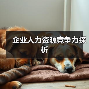 企业人力资源竞争力探析-图4