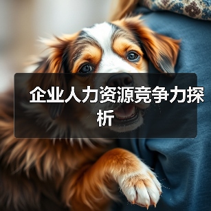 企业人力资源竞争力探析-图5