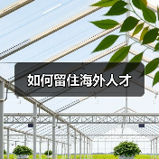 如何留住海外人才-图6