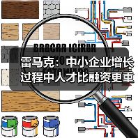 雷马克:中小企业增长过程中人才比融资更重要-图5 雷马克:中小企业增长过程中人才比融资更重要-图5