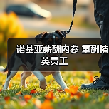 诺基亚薪酬内参 重酬精英员工-图6 诺基亚薪酬内参 重酬精英员工-图6