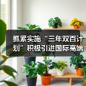抓紧实施“三年双百计划”积极引进国际高端人才技术-图3 抓紧实施“三年双百计划”积极引进国际高端人才技术-图3
