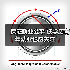 保证就业公平 低学历青年就业也应关注-图6