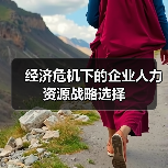 经济危机下的企业人力资源战略选择-图3