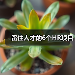 留住人才的6个HR项目-图5 留住人才的6个HR项目-图5