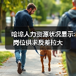 哈埠人力资源状况显示:岗位供求反差拉大-图4 哈埠人力资源状况显示:岗位供求反差拉大-图4