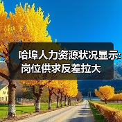 哈埠人力资源状况显示:岗位供求反差拉大-图6 哈埠人力资源状况显示:岗位供求反差拉大-图6