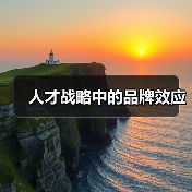 人才战略中的品牌效应-图3
