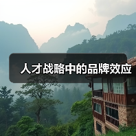 人才战略中的品牌效应-图4