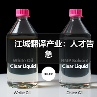 江城翻译产业:人才告急-图6 江城翻译产业:人才告急-图6