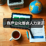 靠产业化整合人力资源-图3